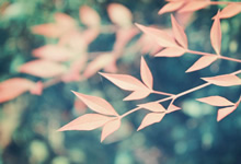 口碑好的延时喷剂品牌推荐