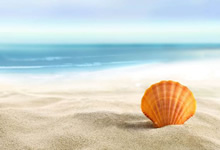 黑豹外用延时喷剂（三代）产品信息变更函