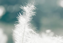 如何安全使用延时喷剂？谨记这4点远离副作用！