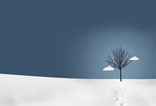 黑豹外用延时喷剂（三代）产品信息变更函